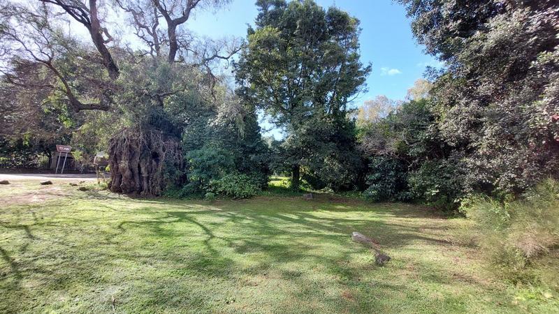 Commercial Property for Sale in Groot Brakrivier Western Cape